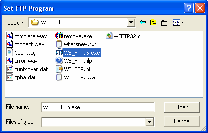 Set FTP Program